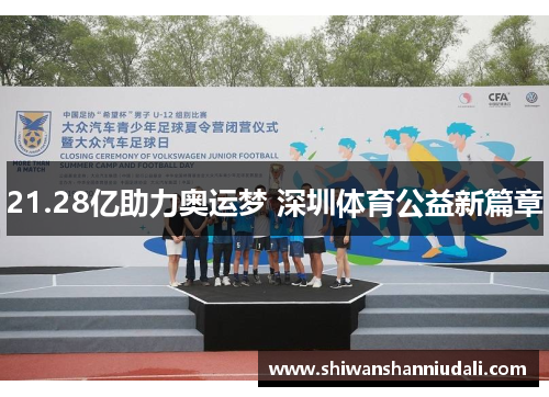 21.28亿助力奥运梦 深圳体育公益新篇章